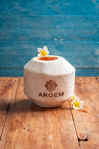 AROEM-1677 (Copy)